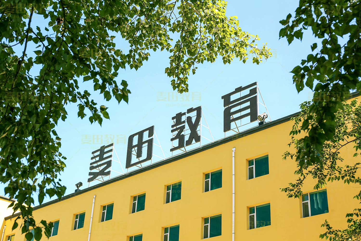 长春高三全日制补习学校艺考文化课